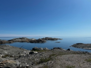 WhatsApp Image 2025-12-18 at 11.06.17 (2)